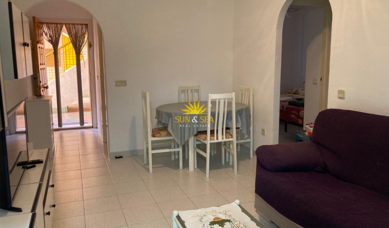 Winter rental - Apartment - Torrevieja - torrevieja