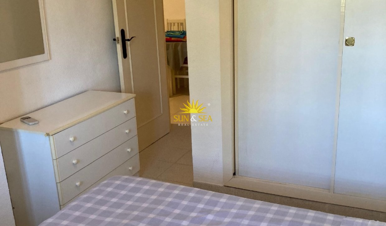 Winter rental - Apartment - Torrevieja - torrevieja