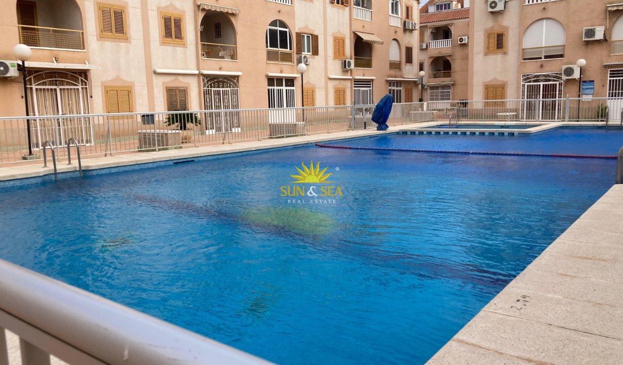 Winter rental - Apartment - Torrevieja - torrevieja