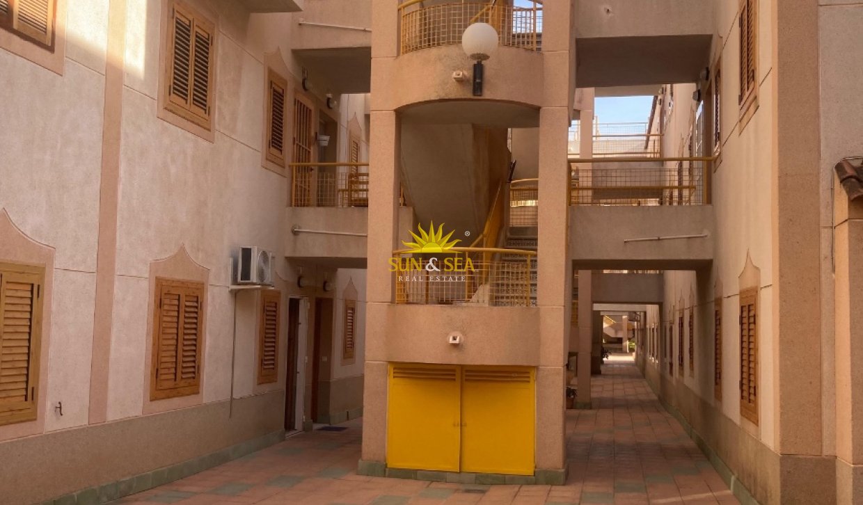 Winter rental - Apartment - Torrevieja - torrevieja