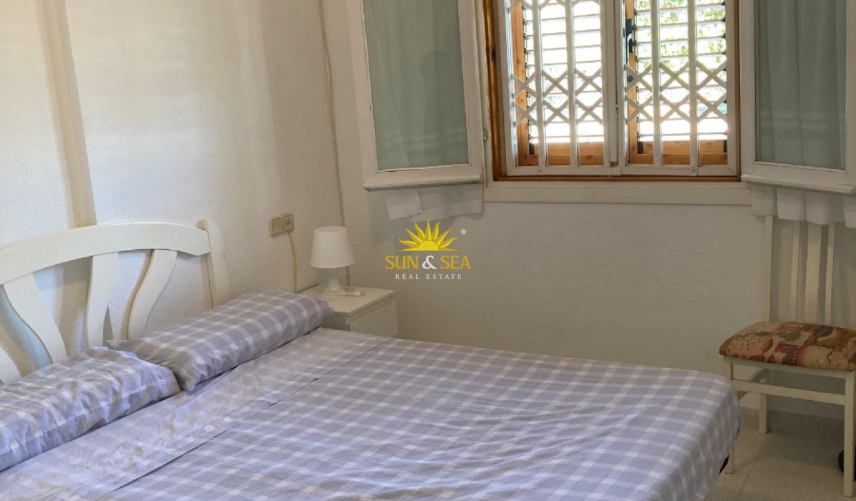 Winter rental - Apartment - Torrevieja - torrevieja