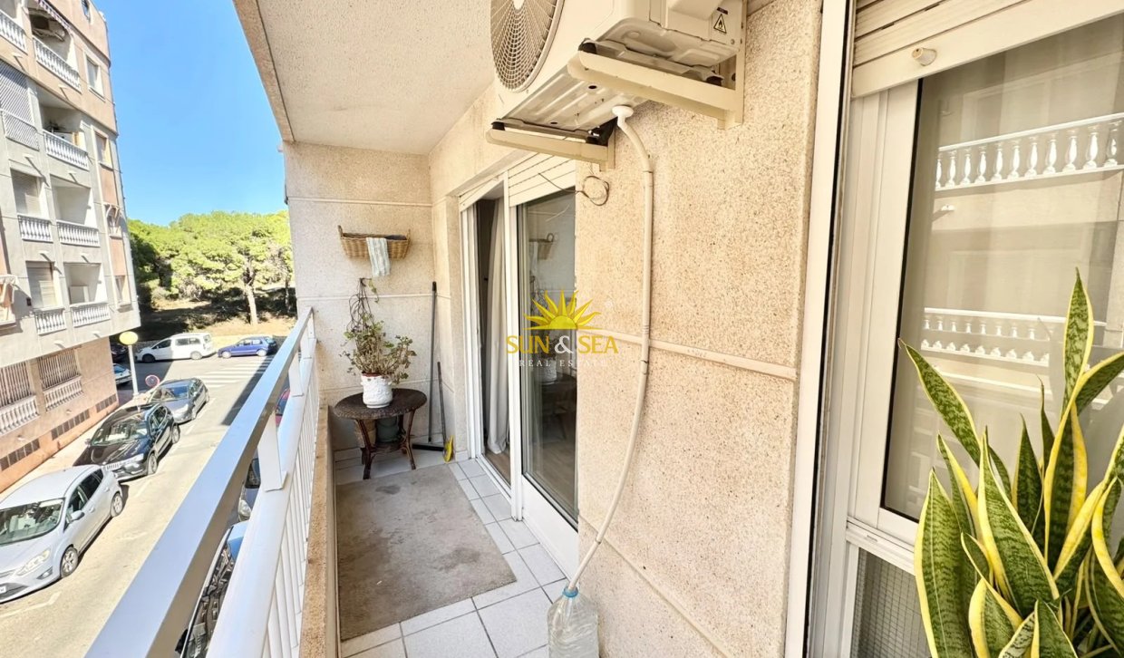 Long Term Rental - Apartment - Guardamar del Segura - guardamar del segura