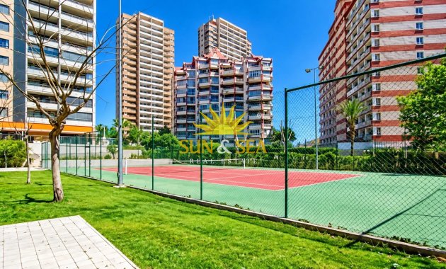 Long Term Rental - Apartment - Benidorm