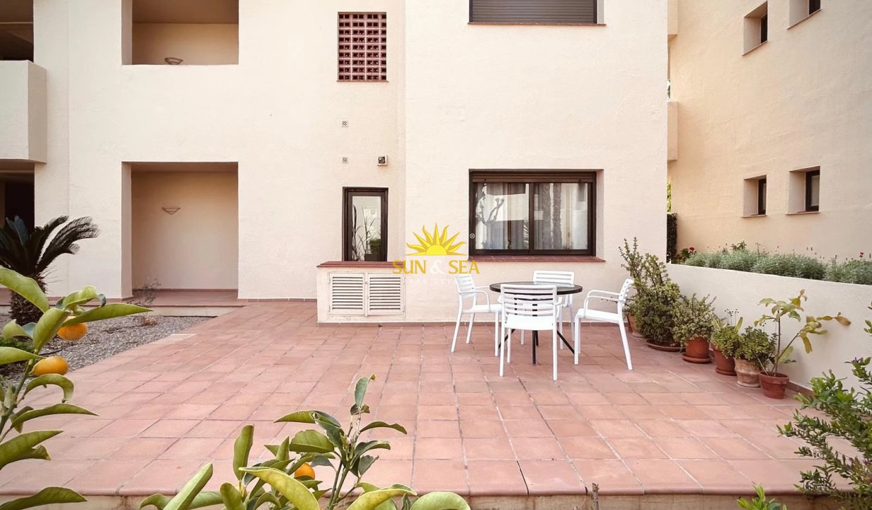 Winter rental - Apartment - San Javier