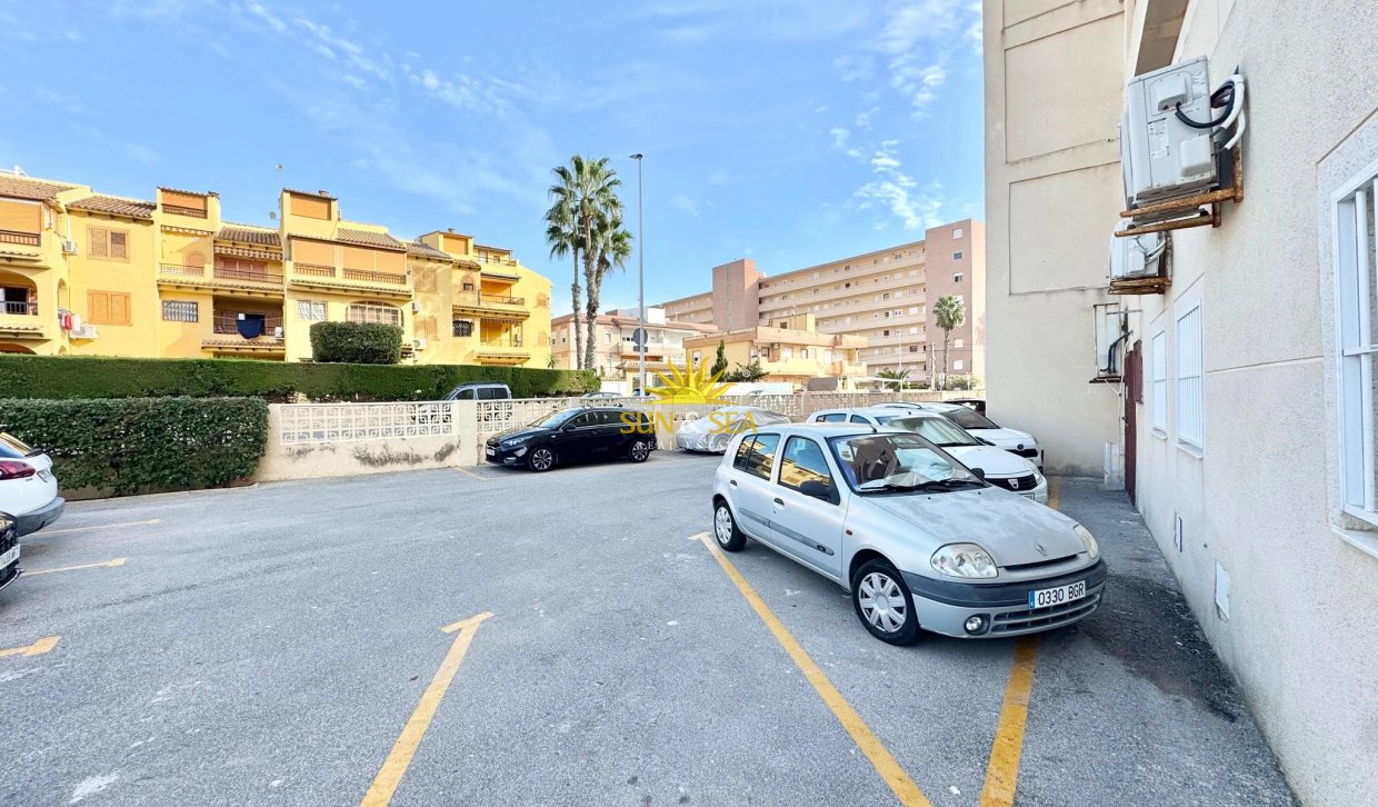 Long Term Rental - Apartment - Torrevieja - Torrelamata - La Mata