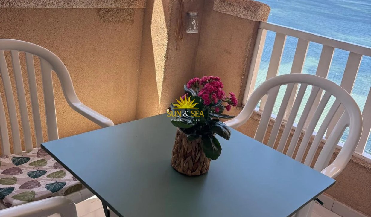 Winter rental - Apartment - Torrevieja - Centro