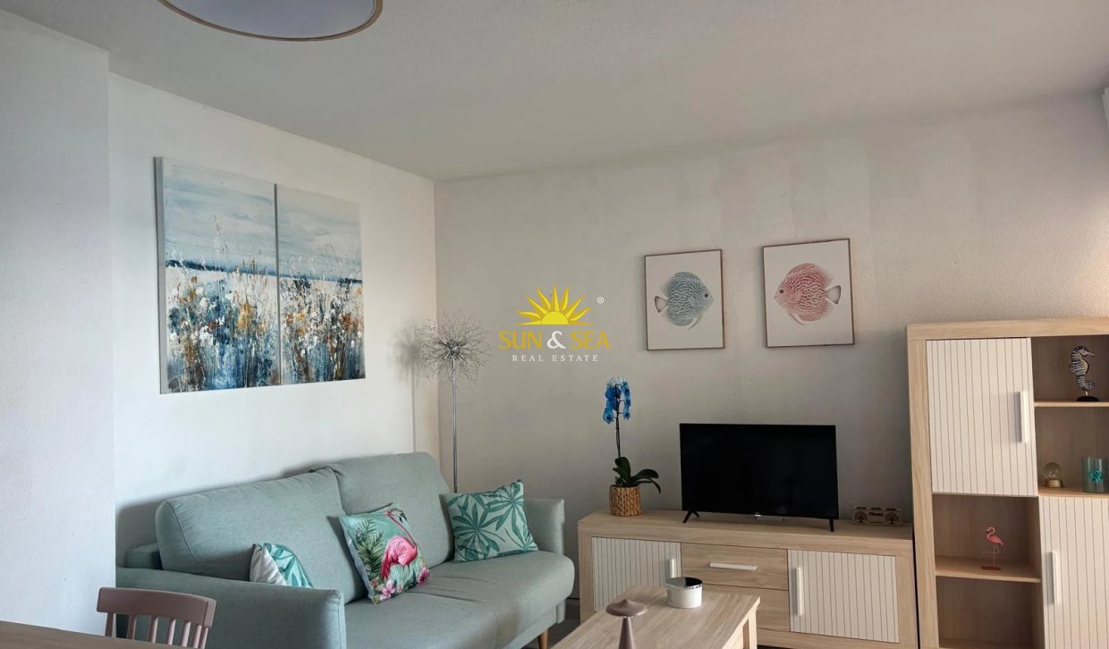Winter rental - Apartment - Torrevieja - Centro