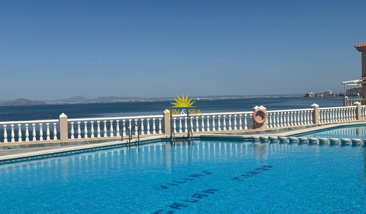 Winter rental - Apartment - Torrevieja - Centro