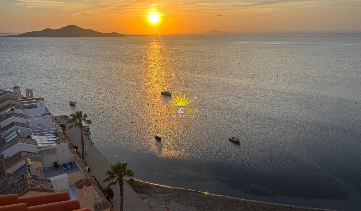 Winter rental - Apartment - Torrevieja - Centro