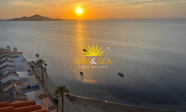 Winter rental - Apartment - Torrevieja - Centro