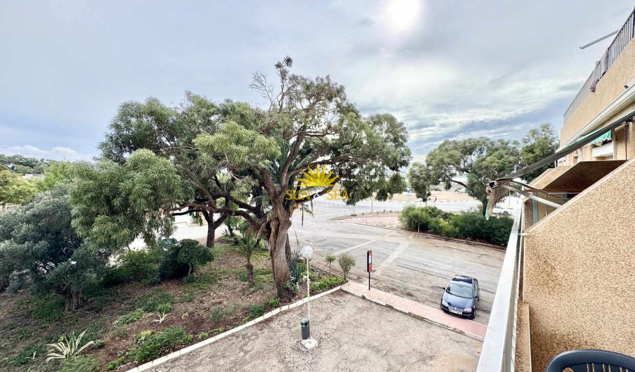 Location à long terme - Appartement - Guardamar del Segura - Pinomar