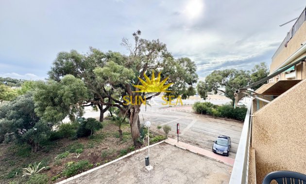 Location à long terme - Appartement - Guardamar del Segura - Pinomar