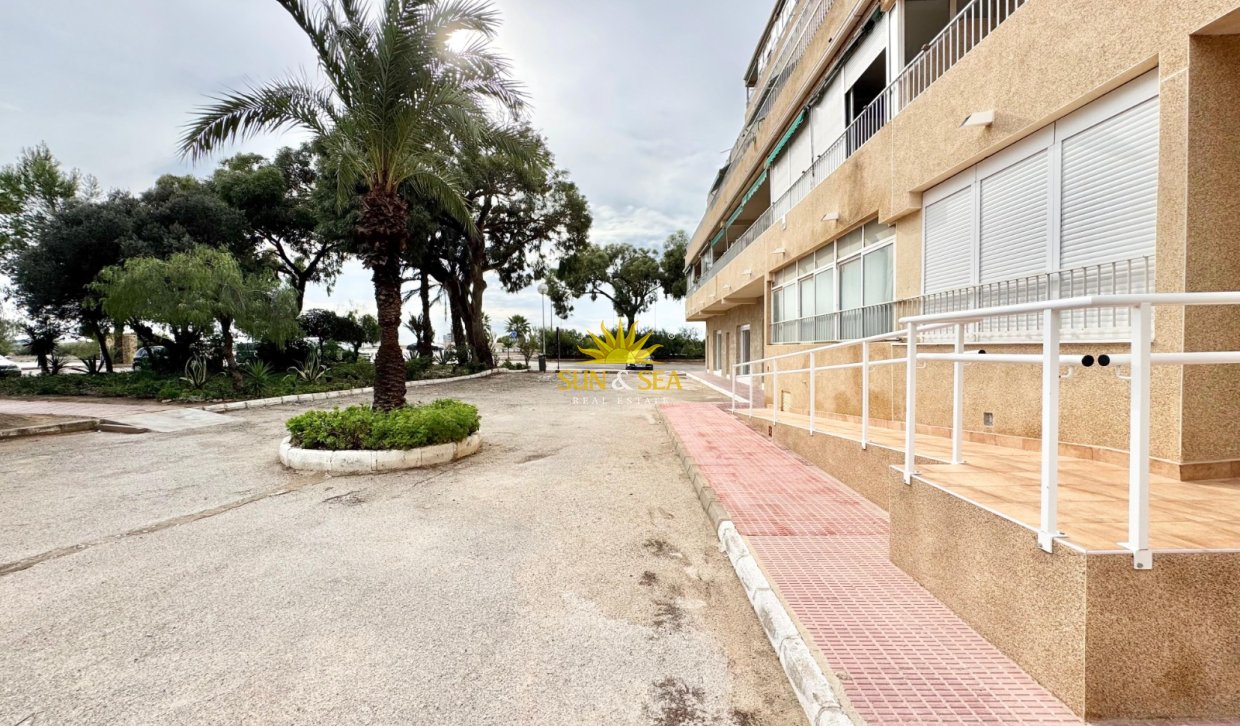 Location à long terme - Appartement - Guardamar del Segura - Pinomar