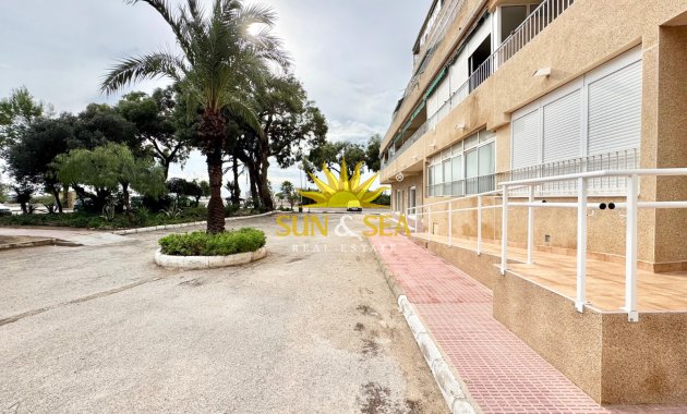 Location à long terme - Appartement - Guardamar del Segura - Pinomar