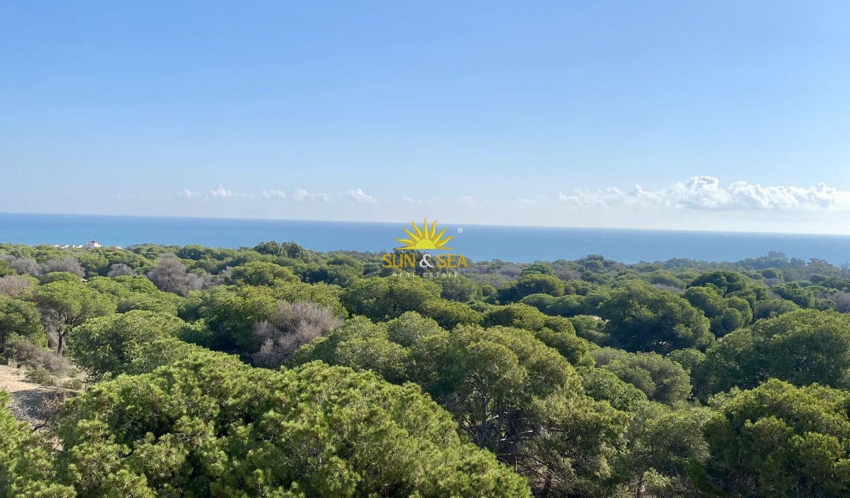Nouvelle construction - Appartement - Guardamar del Segura - guardamar del segura