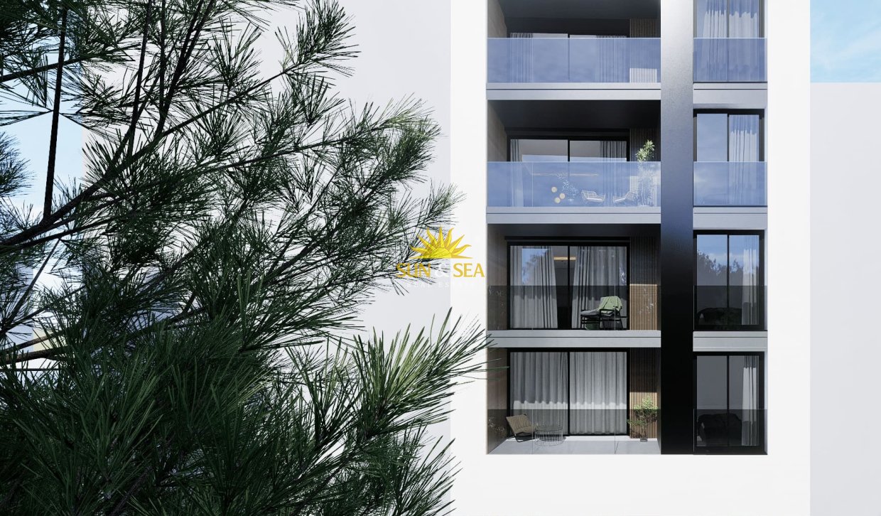 Nouvelle construction - Penthouse - Guardamar del Segura - guardamar del segura