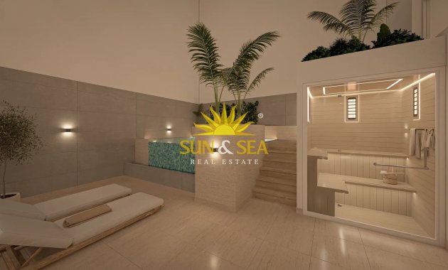 Nieuwbouw Woningen - Penthouse - Torrevieja - torrevieja