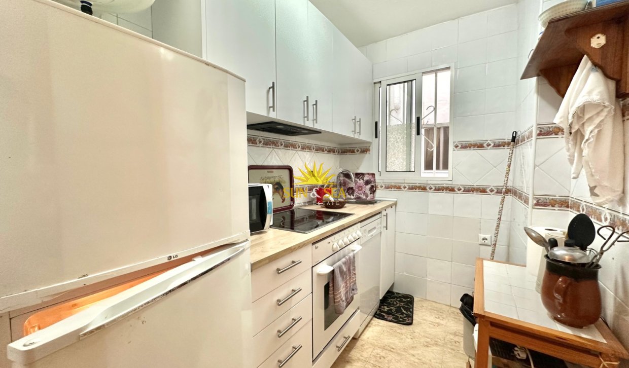 Winter rental - Apartment - Torrevieja - Centro