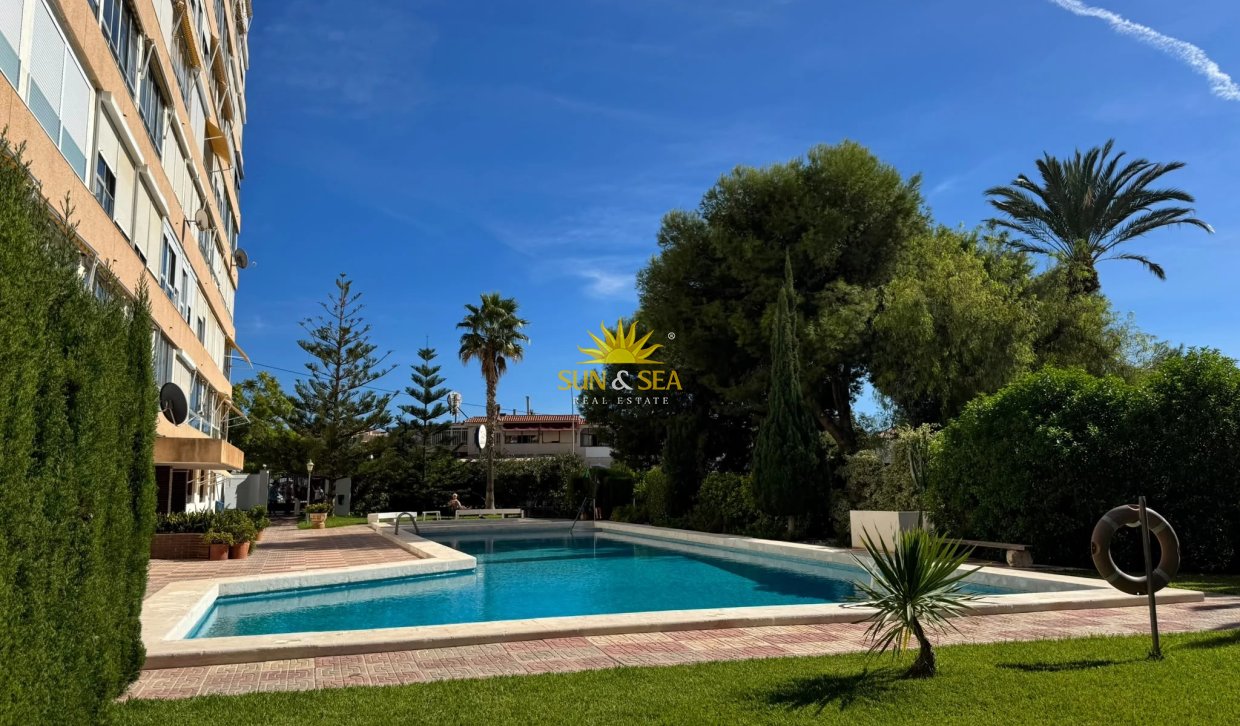 Langfristige Vermietung - Wohnung - Alicante (Alacant)