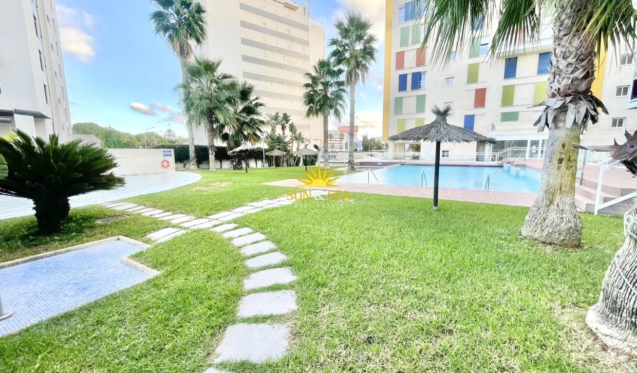 Kurzzeit-Vermietung - Wohnung - Alicante (Alacant)