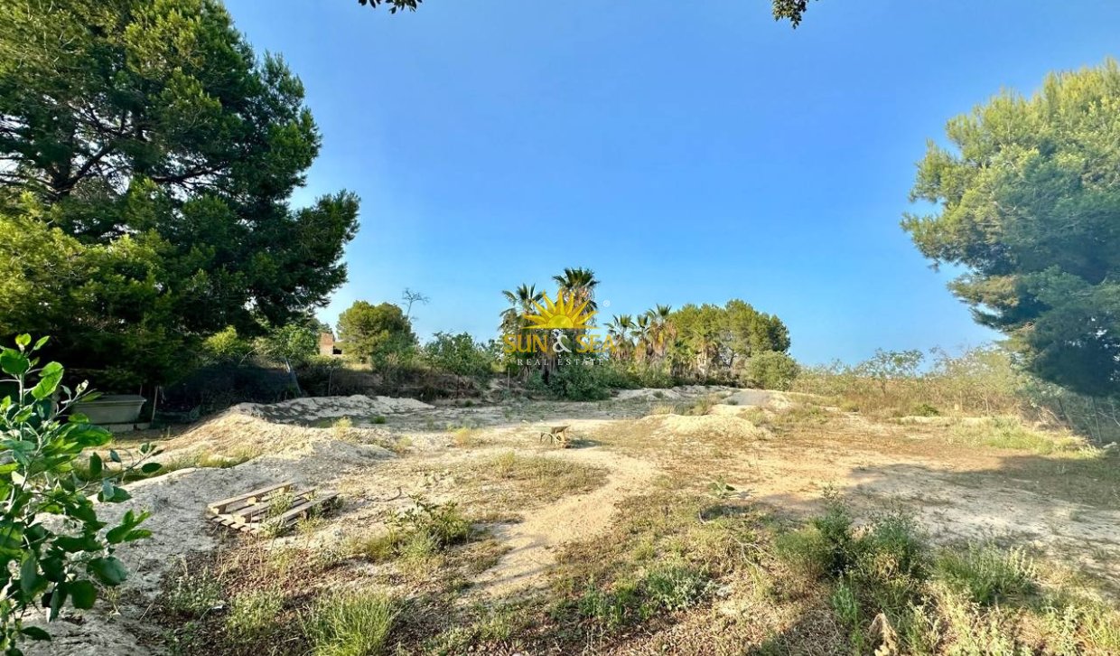 Long Term Rental - Villa - Algorfa