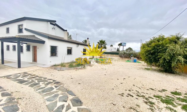 Winter rental - Villa - Elche - Bonavista