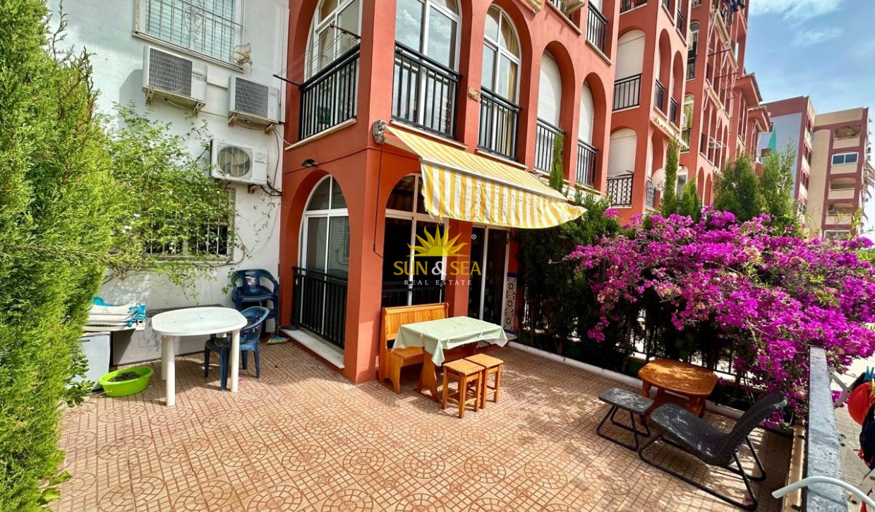 Зимняя аренда - Apartment - Torrevieja - Nueva Torrevieja - Aguas Nuevas