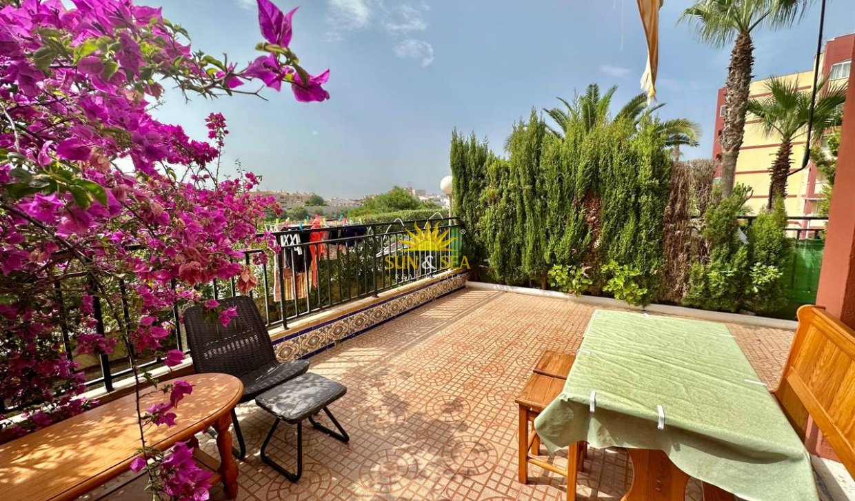 Зимняя аренда - Apartment - Torrevieja - Nueva Torrevieja - Aguas Nuevas