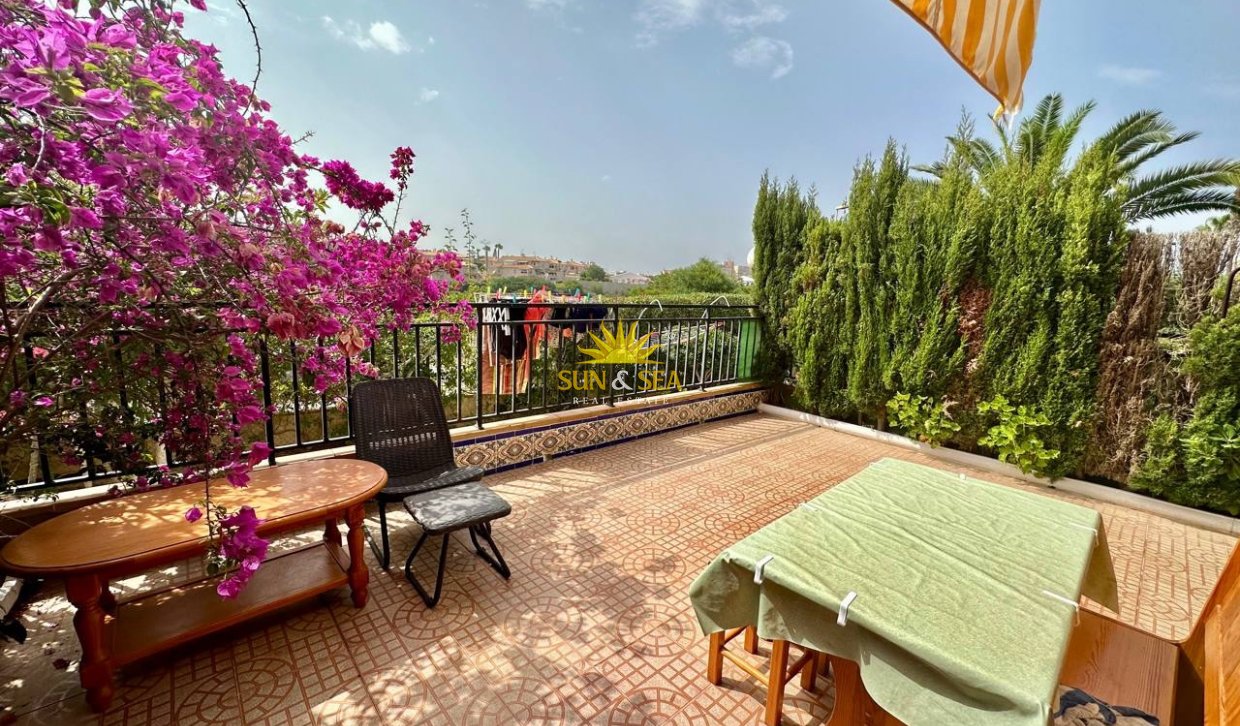 Зимняя аренда - Apartment - Torrevieja - Nueva Torrevieja - Aguas Nuevas