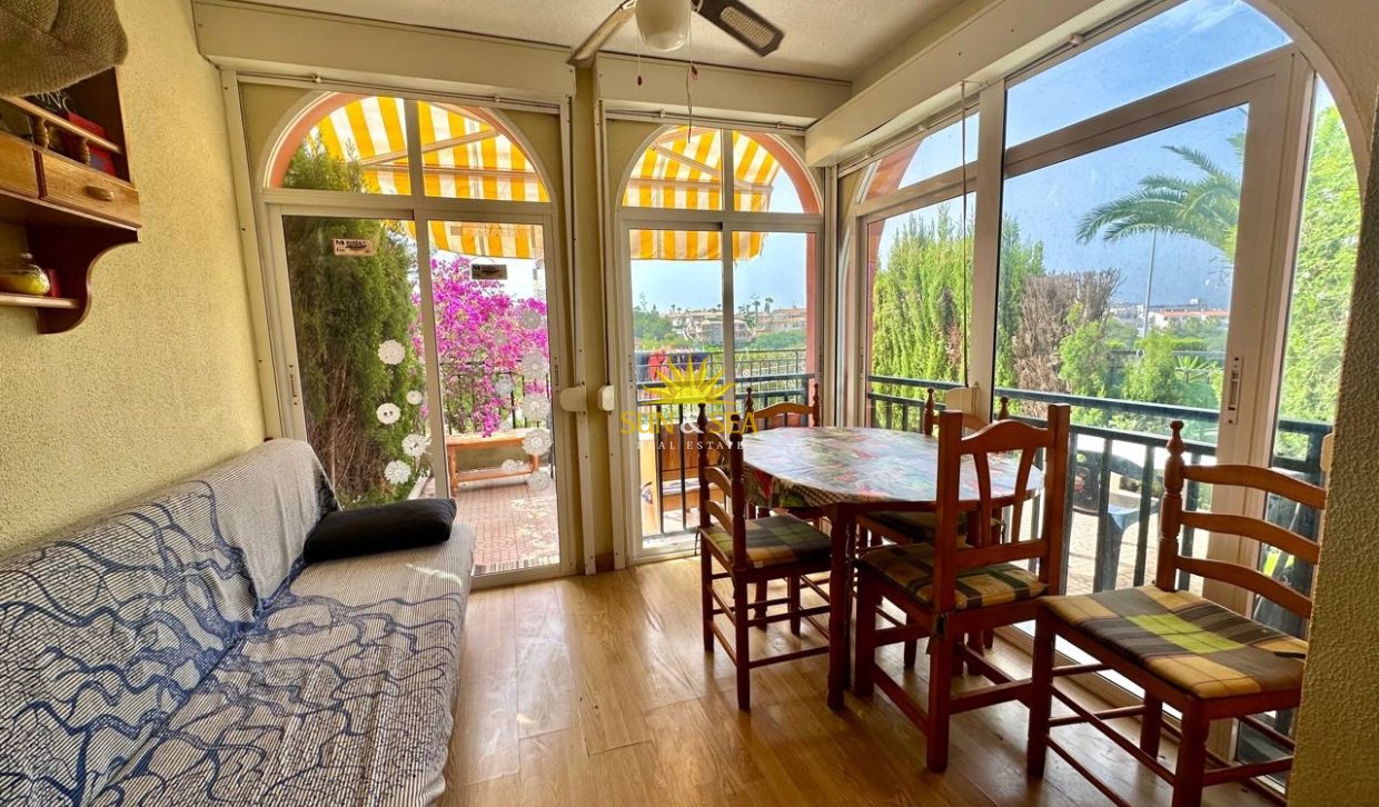 Зимняя аренда - Apartment - Torrevieja - Nueva Torrevieja - Aguas Nuevas