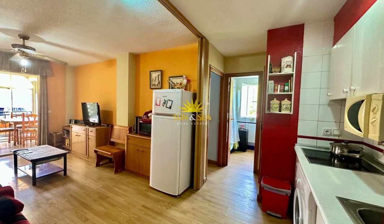 Зимняя аренда - Apartment - Torrevieja - Nueva Torrevieja - Aguas Nuevas