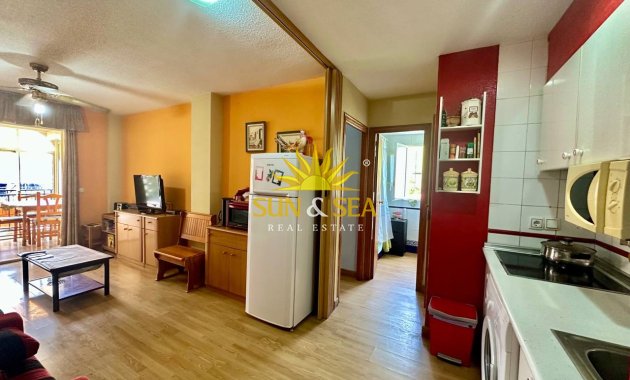Зимняя аренда - Apartment - Torrevieja - Nueva Torrevieja - Aguas Nuevas