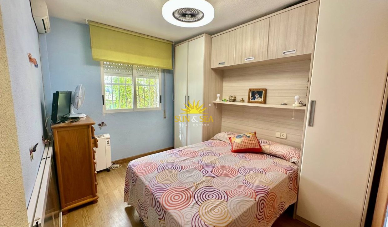 Зимняя аренда - Apartment - Torrevieja - Nueva Torrevieja - Aguas Nuevas