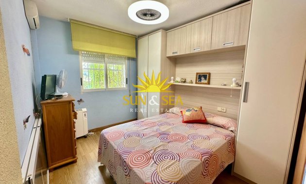 Зимняя аренда - Apartment - Torrevieja - Nueva Torrevieja - Aguas Nuevas