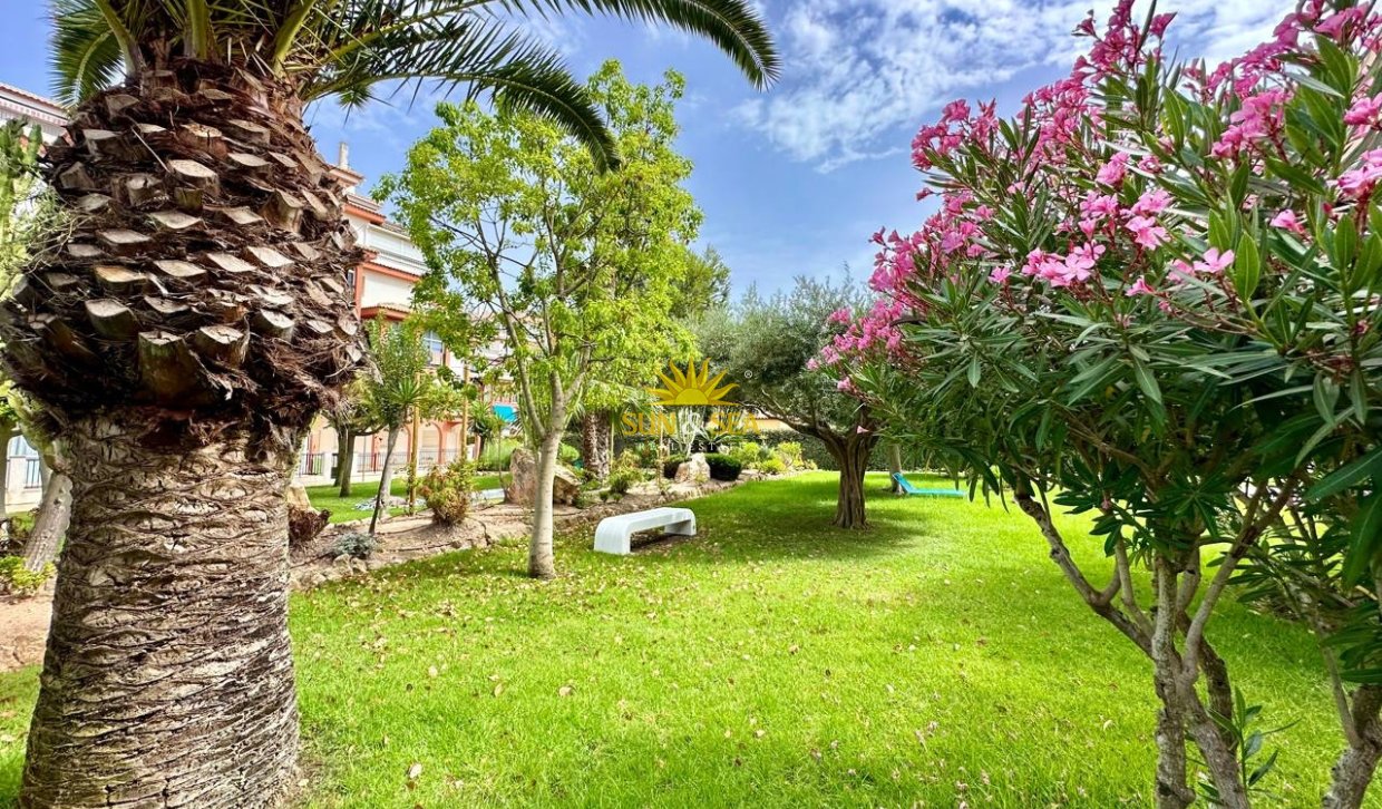 Зимняя аренда - Apartment - Torrevieja - Nueva Torrevieja - Aguas Nuevas