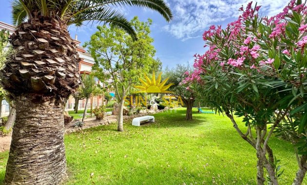 Зимняя аренда - Apartment - Torrevieja - Nueva Torrevieja - Aguas Nuevas