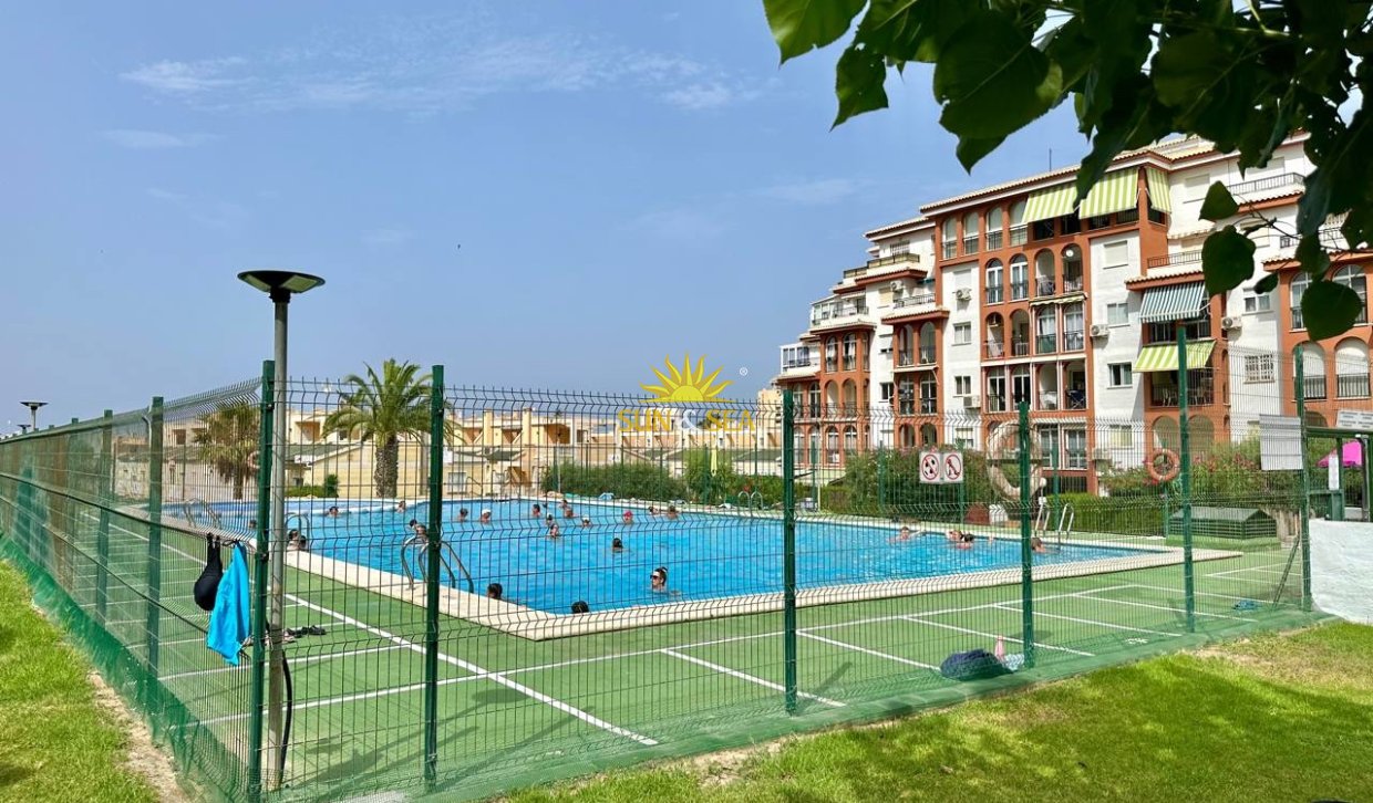 Зимняя аренда - Apartment - Torrevieja - Nueva Torrevieja - Aguas Nuevas