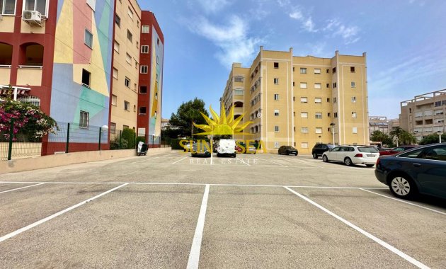Зимняя аренда - Apartment - Torrevieja - Nueva Torrevieja - Aguas Nuevas