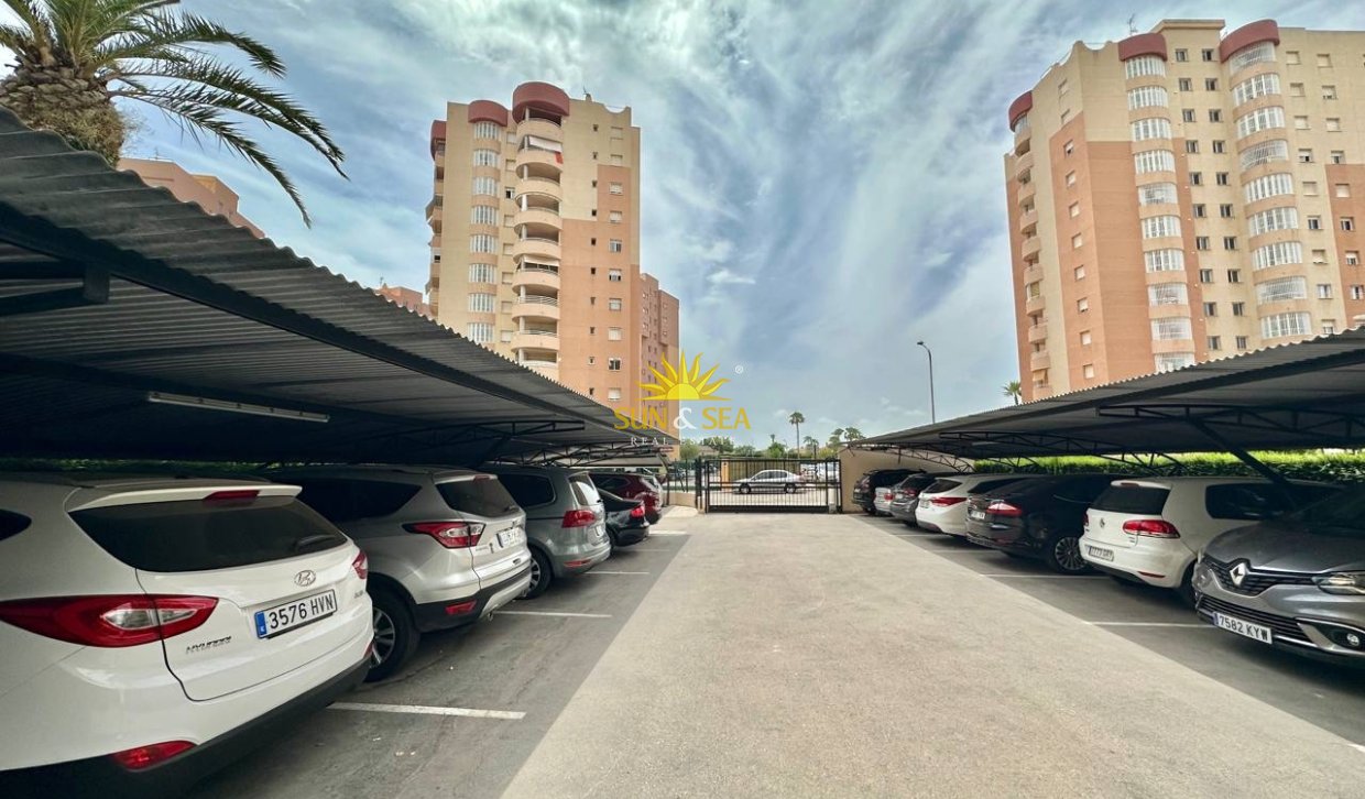 Alquiler a largo plazo - Apartamento - Campoamor - Dehesa de campoamor