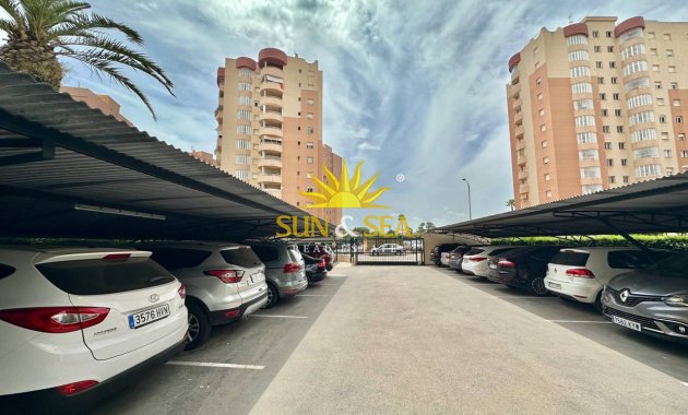 Alquiler a largo plazo - Apartamento - Campoamor - Dehesa de campoamor