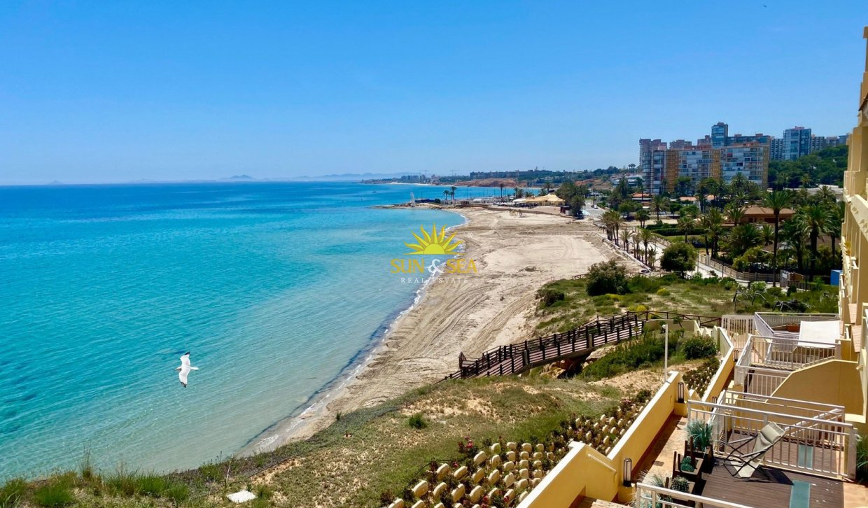 Alquiler de invierno - Apartamento - Orihuela Costa - Dehesa de campoamor