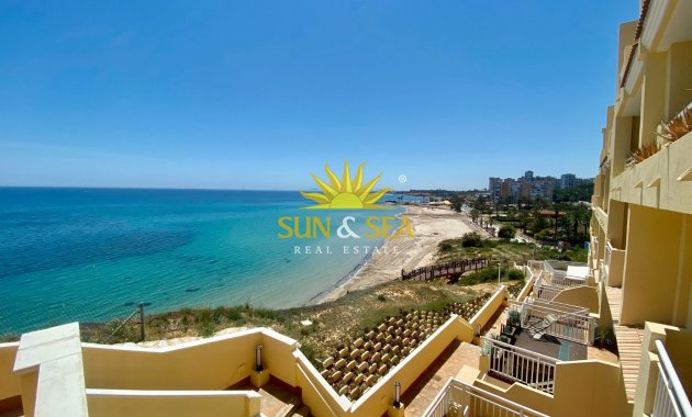 Alquiler de invierno - Apartamento - Orihuela Costa - Dehesa de campoamor