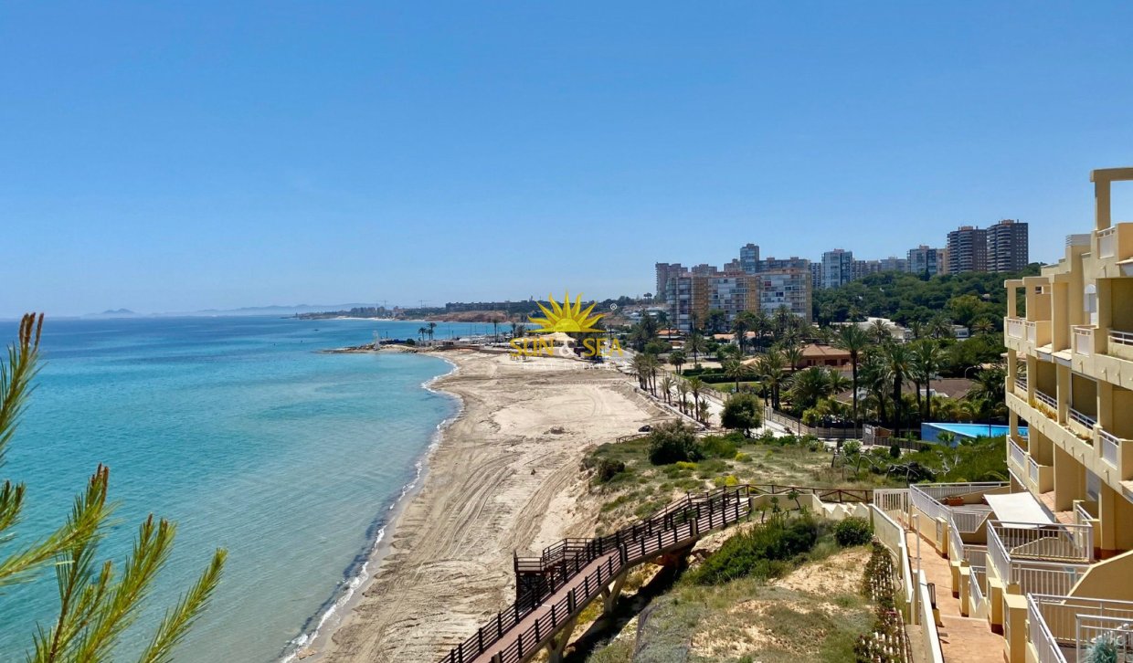 Alquiler de invierno - Apartamento - Orihuela Costa - Dehesa de campoamor