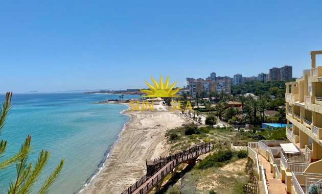 Alquiler de invierno - Apartamento - Orihuela Costa - Dehesa de campoamor