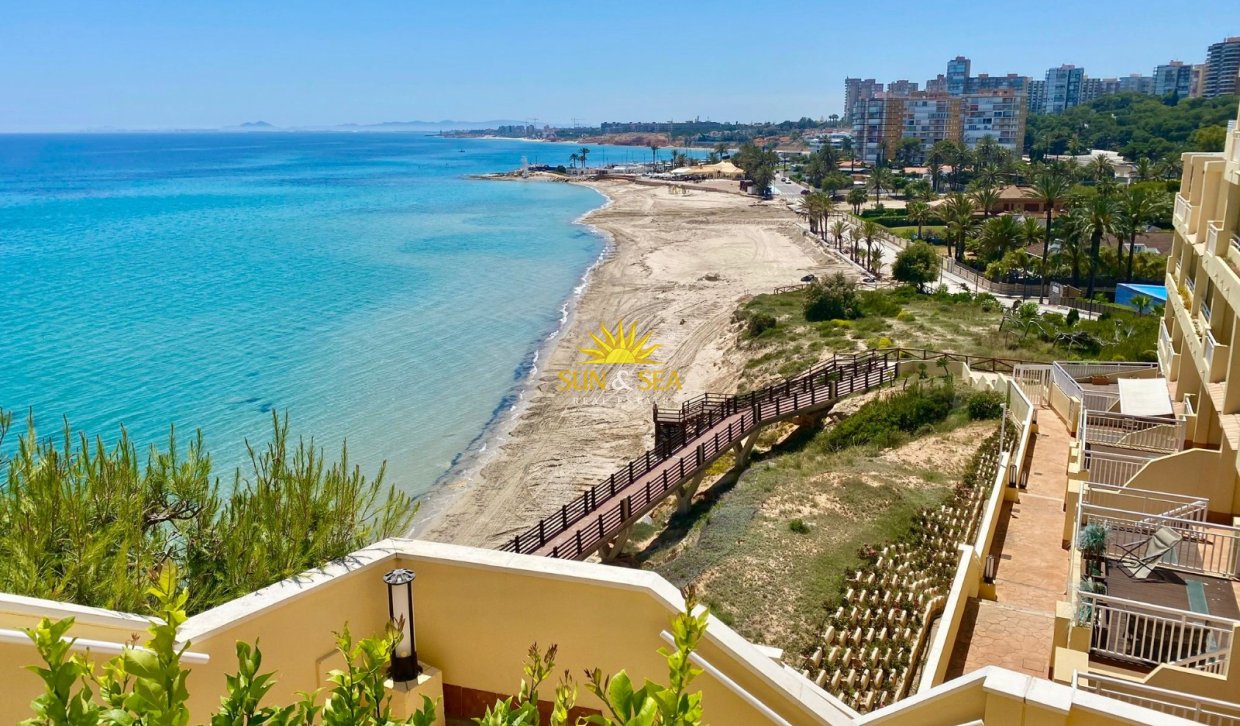 Alquiler de invierno - Apartamento - Orihuela Costa - Dehesa de campoamor