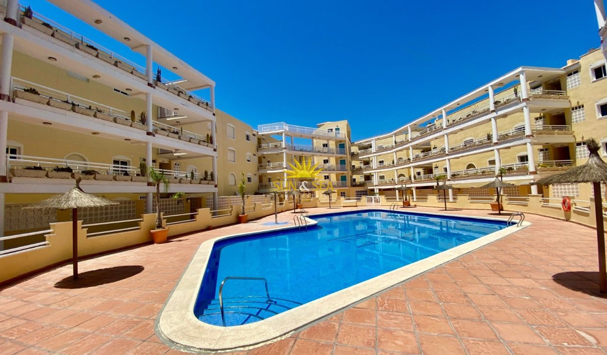 Alquiler de invierno - Apartamento - Orihuela Costa - Dehesa de campoamor