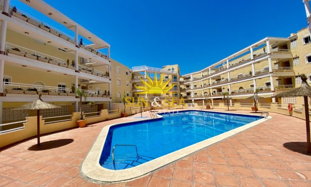 Alquiler de invierno - Apartamento - Orihuela Costa - Dehesa de campoamor