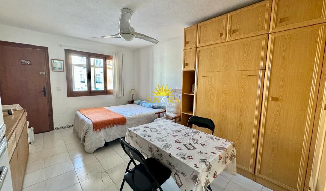 Зимняя аренда - Studio apartment - Torrevieja - Torrelamata - La Mata