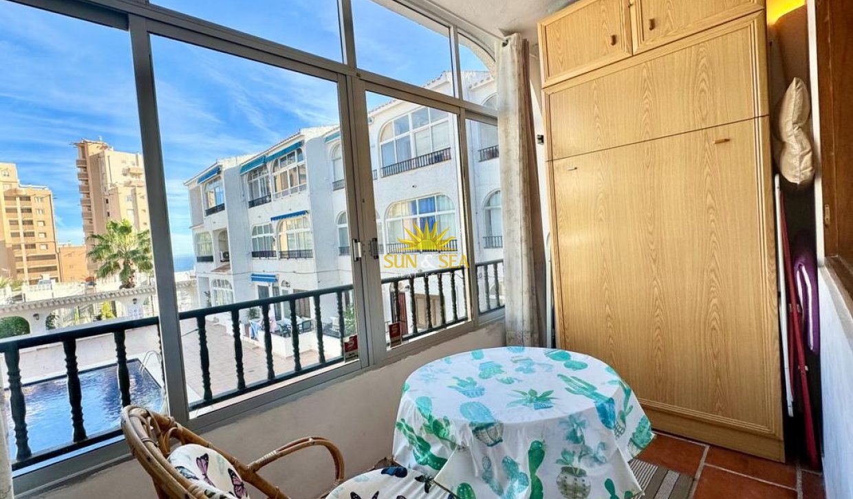 Зимняя аренда - Studio apartment - Torrevieja - Torrelamata - La Mata
