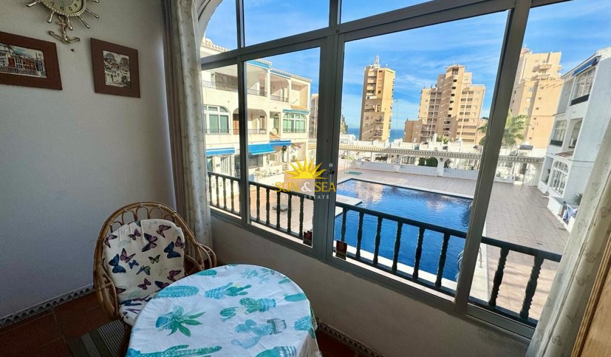 Зимняя аренда - Studio apartment - Torrevieja - Torrelamata - La Mata